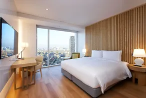 Hotel Entra Gangnam - View from room