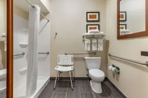 Comfort Suites Southgate-Detroit - Salle de bain