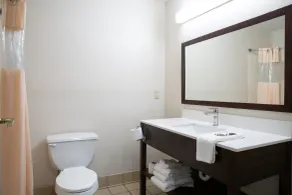 BlissPoint Inn & Suites Marion - Salle de bain