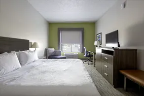 Holiday Inn Express Hotel & Suites Chattanooga-Lookout Mountain by IHG - Chambre