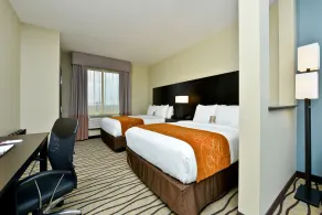 Comfort Suites near Westchase on Beltway 8 - Chambre