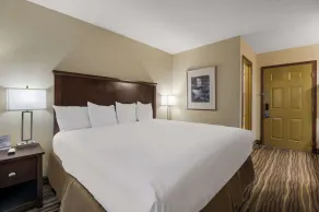 Best Western Cottage Grove Inn - Værelse