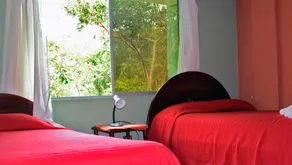Mindo Real - Room