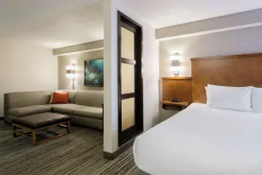 Hyatt Place Nashville Franklin Cool Springs - Chambre