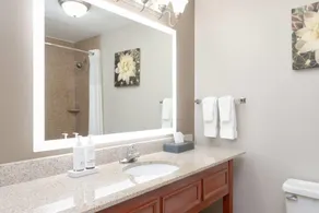 La Quinta by Wyndham Fairfield TX - Badezimmer