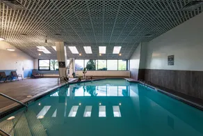 APA Hotel Woodbridge - Piscine