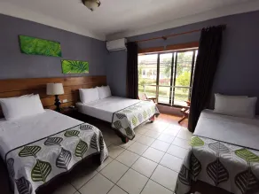 La Fortuna Downtown Boutique Hotel - Room