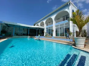 The Lazy Shark - Piscina