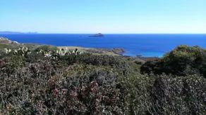 B&B Glamping Semaforo Capo Sperone - Vue de la chambre