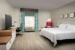 Hilton Garden Inn Knoxville West/Cedar Bluff - Chambre