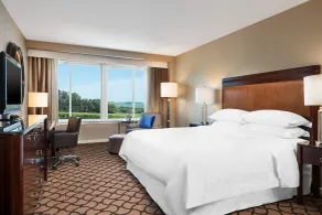 Sheraton Sonoma Wine Country Petaluma - Chambre