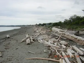 Beach Look Out Retreat - Image 1