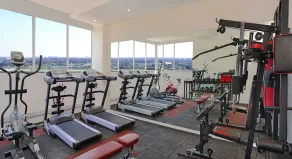 Fortune Inn Promenade, Vadodara - Member ITC Hotels' Group - Gym