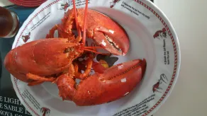 Mama`s By The Sea B&B - Restaurant
