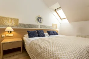 Hotel Tivoli Prague - Værelse