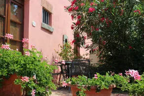 Il Querciolo - Azienda biologica, Agriturismo e Cantina - Udsigt fra værelset