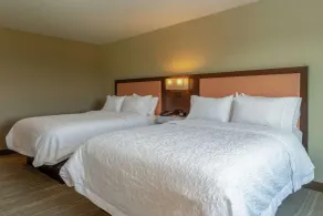 Hampton Inn Bourbonnais Kankakee - Chambre