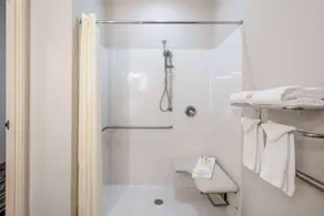 Microtel Inn & Suites by Wyndham Brooksville - Chambre