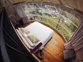 TREE TREK BOQUETE Adventure Park - Room