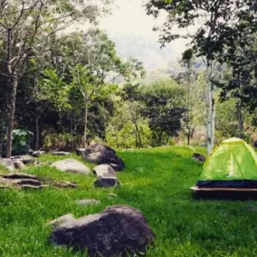 Glamping Furesa Experience - Hostel - Image 1