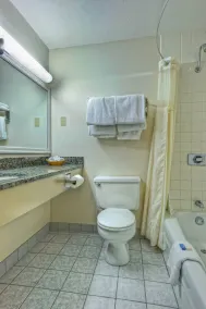 Silver Fox Inn - Salle de bain