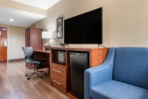 Comfort Inn Birmingham Homewood - Chambre