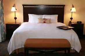 Hampton Inn Roanoke Rapids, NC - Room