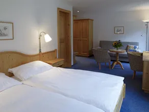 Hotel Alpina Parpan - Quarto
