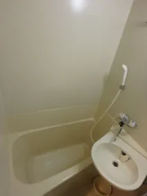 Hotel New Park - Bagno