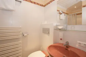 Landhotel Lindenhof - Baño