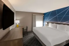 Comfort Inn & Suites Fishers - Indianapolis - Chambre