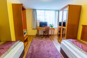 Pannonia Hotel - Room