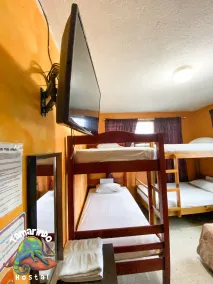 Tamarindo Hostel - Room
