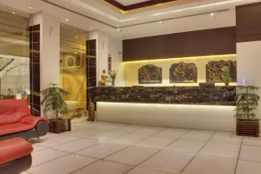 Hotel Godwin Deluxe New Delhi Awarded Best Hotel 2025- Free Airport Pick-Up - Reception