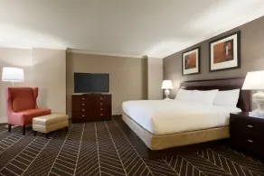 Hilton Arlington - Chambre