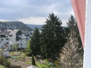 Hotel Rhein-Mosel-View - View from room