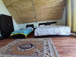 Wildernest - Room