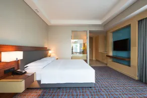 Hyatt Regency Lucknow Gomti Nagar - Room