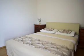 Apartment Bor - Room