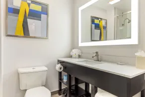 Comfort Inn & Suites Irving Las Colinas DFW - Salle de bain