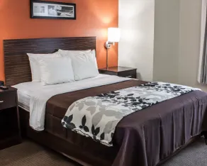 Sleep Inn Arlington Near Six Flags - Chambre