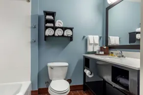 Best Western Plus North Odessa Inn & Suites - Salle de bain