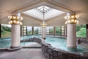 Laforet Shuzenji Sanshisuimei - Piscina
