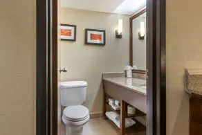 Comfort Inn Grand Rapids Airport - Salle de bain