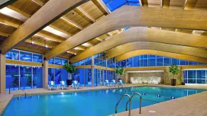 Crowne Plaza Hotel Glen Ellyn/Lombard by IHG - Pool