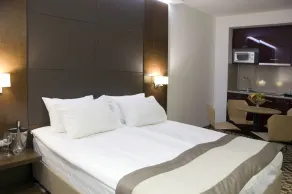 Central Hotel Sofia - Room