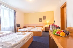 Prague Hotel Carl Inn Restaurant & Parking - Room