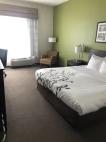 Sleep Inn & Suites Virginia Horse Center - Chambre