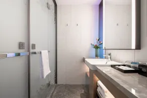 Novotel HanDan Congtai - Baño
