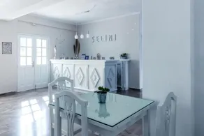 Selini Ηotel - Réception